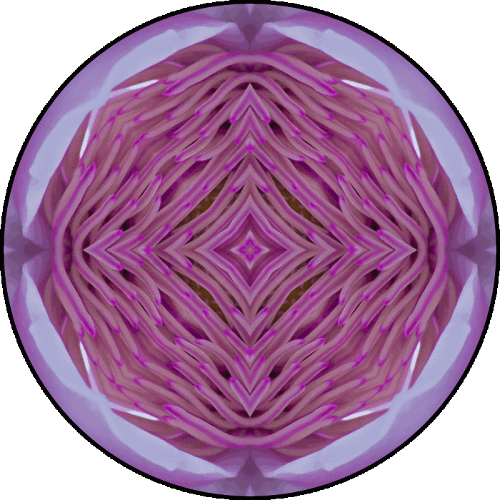 Daily Digital Mandala 685