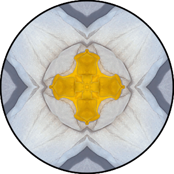 Daily Digital Mandala 687