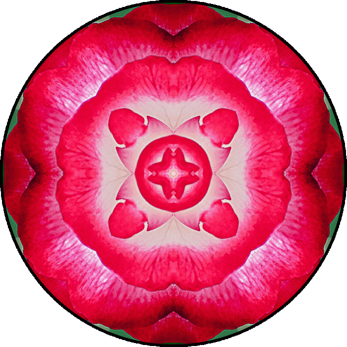 Daily Digital Mandala 671