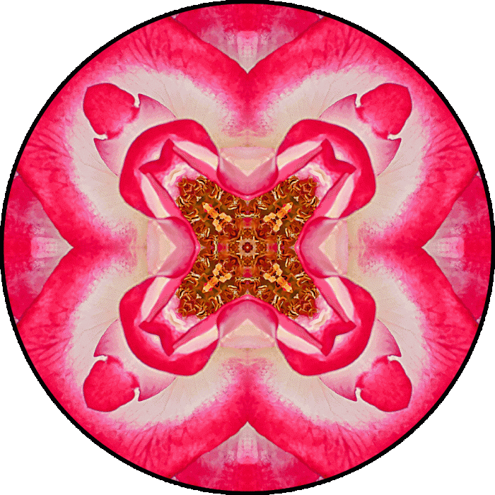 Daily Digital Mandala 672