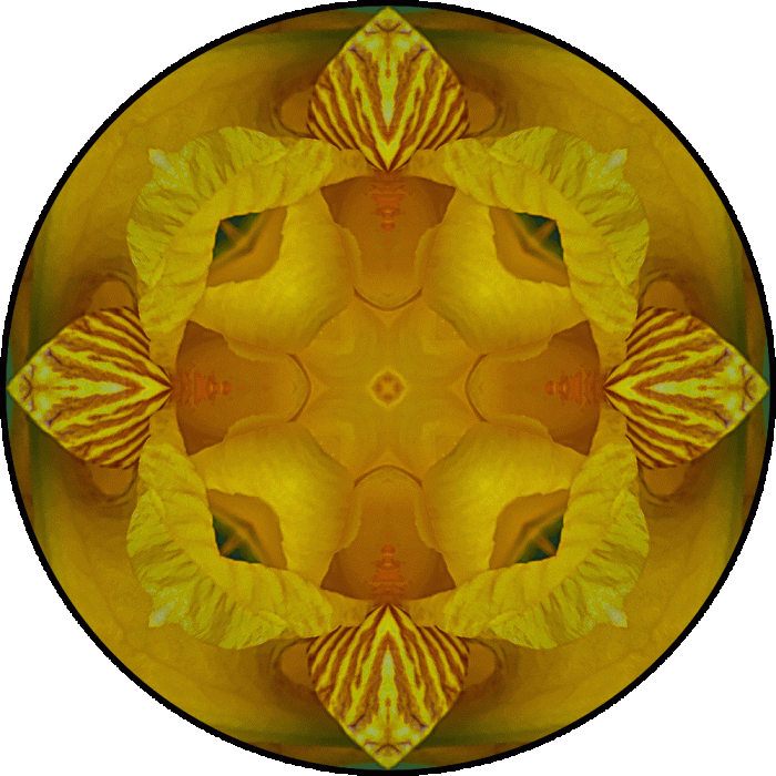 Daily Digital Mandala 677