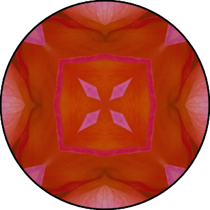 Daily Digital Mandala 678