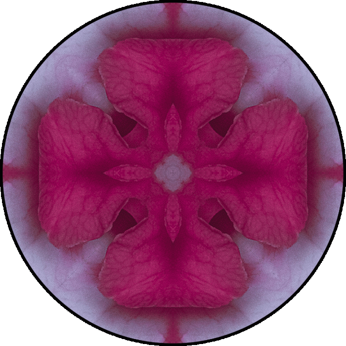 Daily Digital Mandala 708