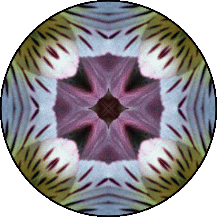 Daily Digital Mandala 697