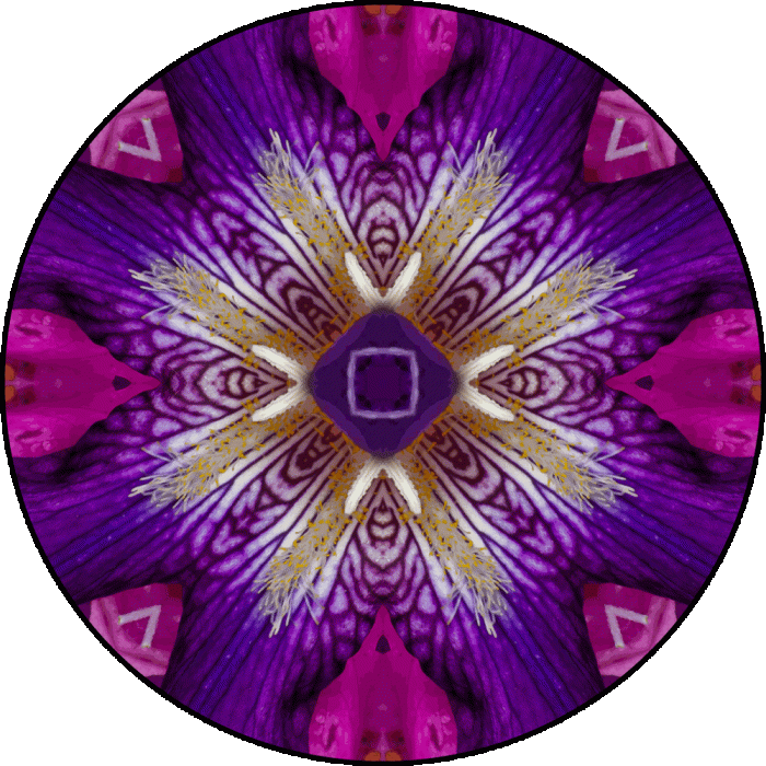 Daily Digital Mandala 704