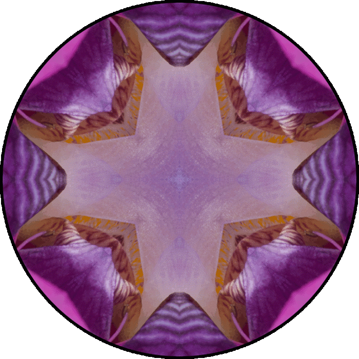 Daily Digital Mandala 721