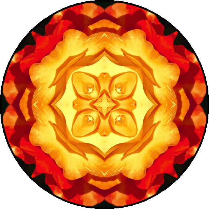 Daily Digital Mandala 619