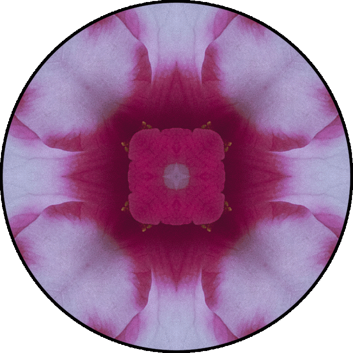 Daily Digital Mandala 724