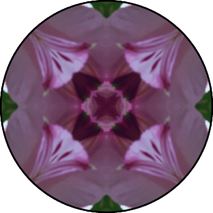 Daily Digital Mandala 701