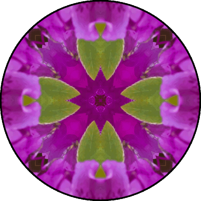 Daily Digital Mandala 738