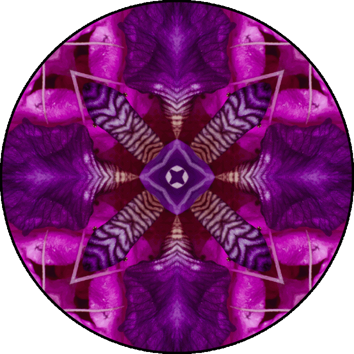 Daily Digital Mandala 720
