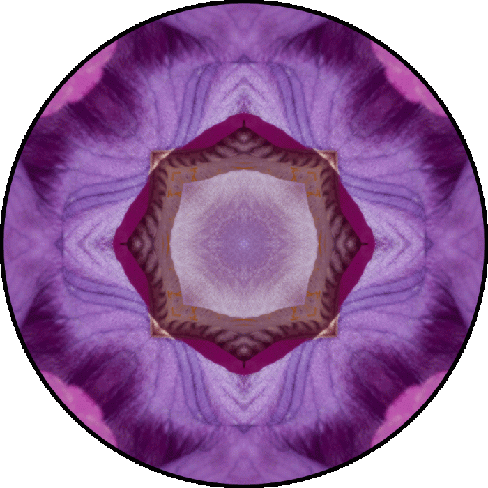 Daily Digital Mandala 743