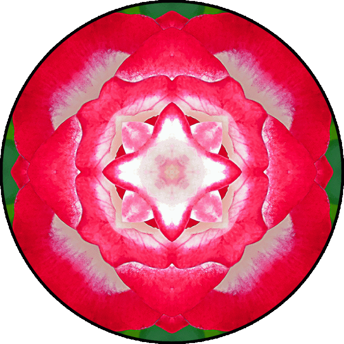 Daily Digital Mandala 711