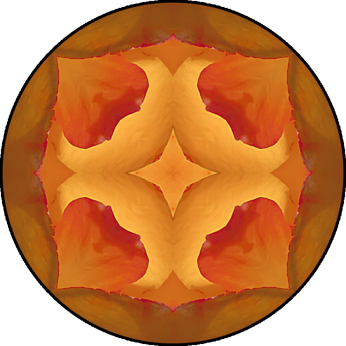 Daily Digital Mandala 713