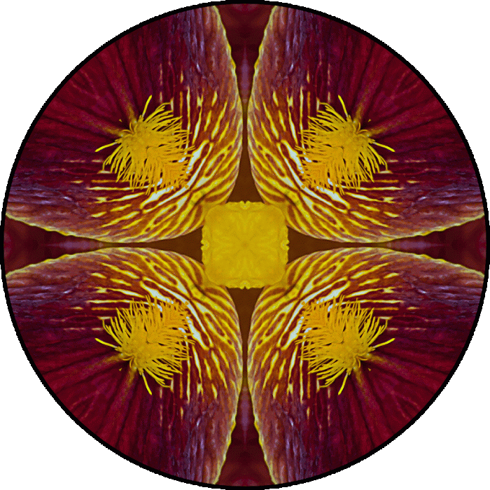 Daily Digital Mandala 716