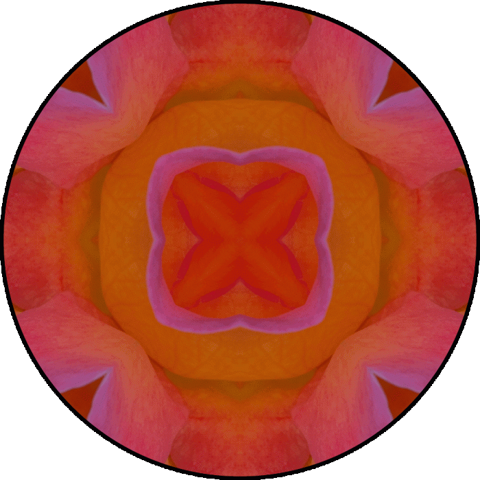 Daily Digital Mandala 698