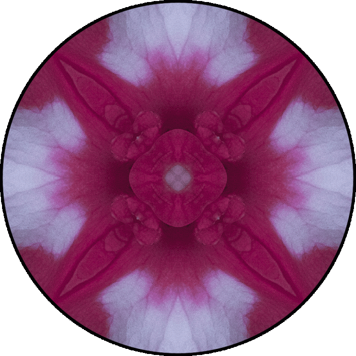 Daily Digital Mandala 731