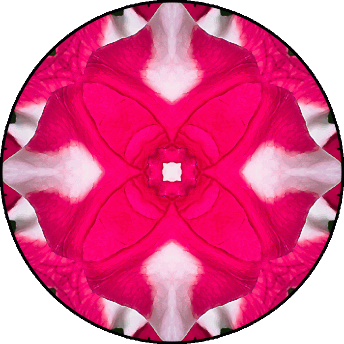 Daily Digital Mandala 726