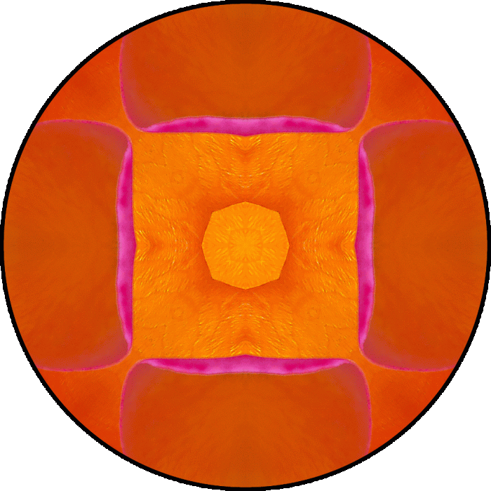 Daily Digital Mandala 737