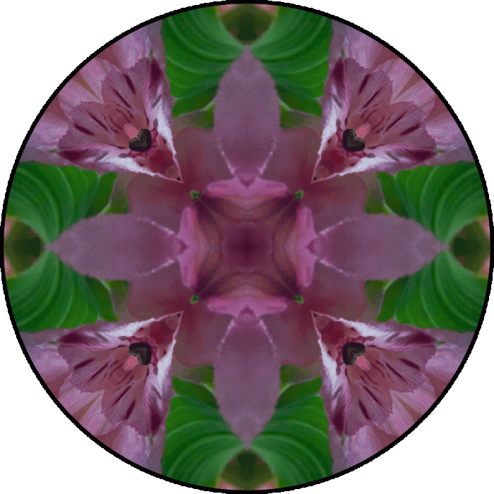 Daily Digital Mandala 607