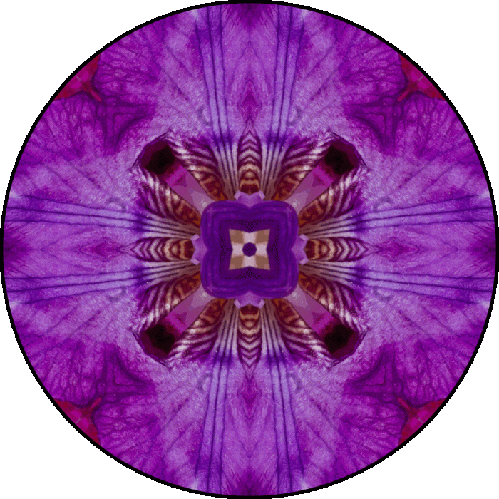 Daily Digital Mandala 742