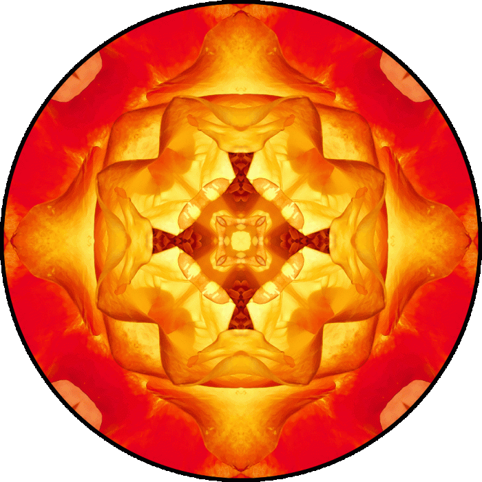 Daily Digital Mandala 655