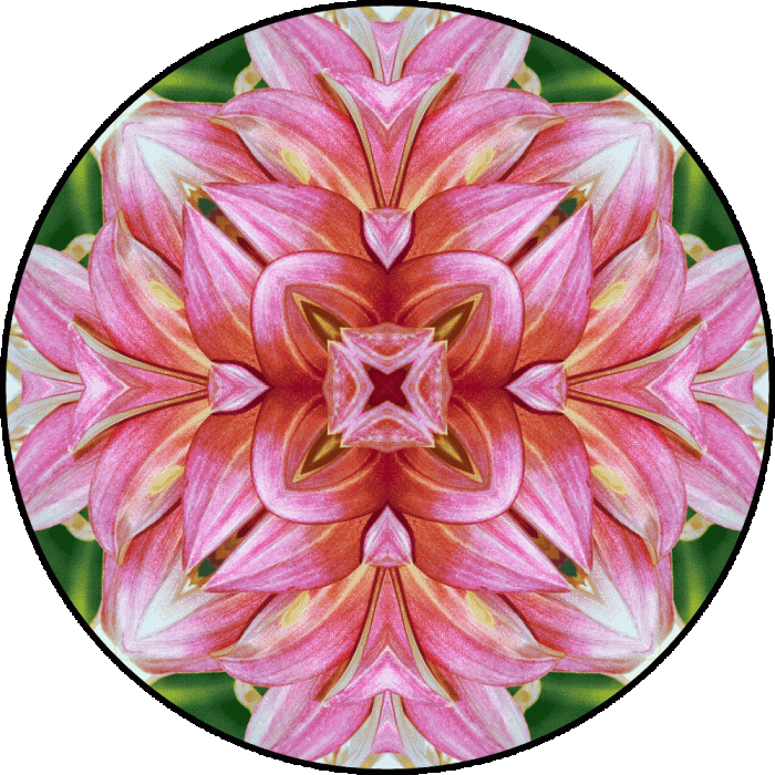Daily Digital Mandala 750