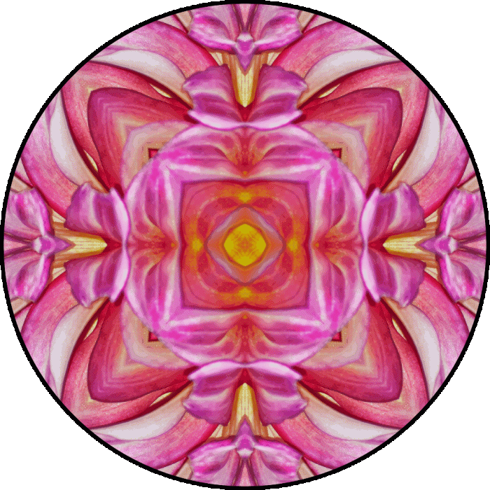 Daily Digital Mandala 751