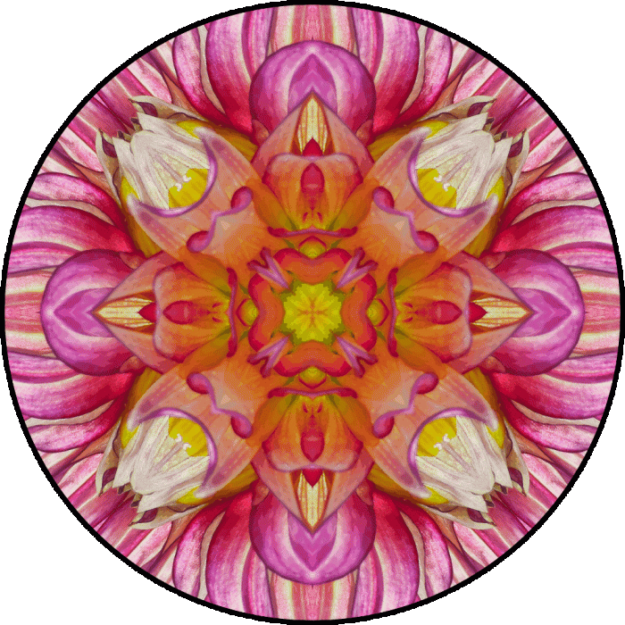 Daily Digital Mandala 767