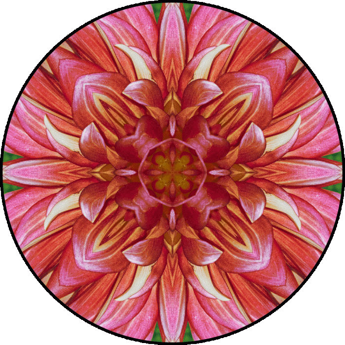 Daily Digital Mandala 782