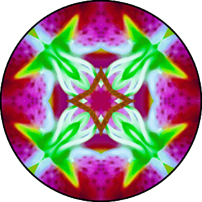 Daily Digital Mandala 787