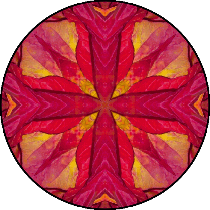 Daily Digital Mandala 794