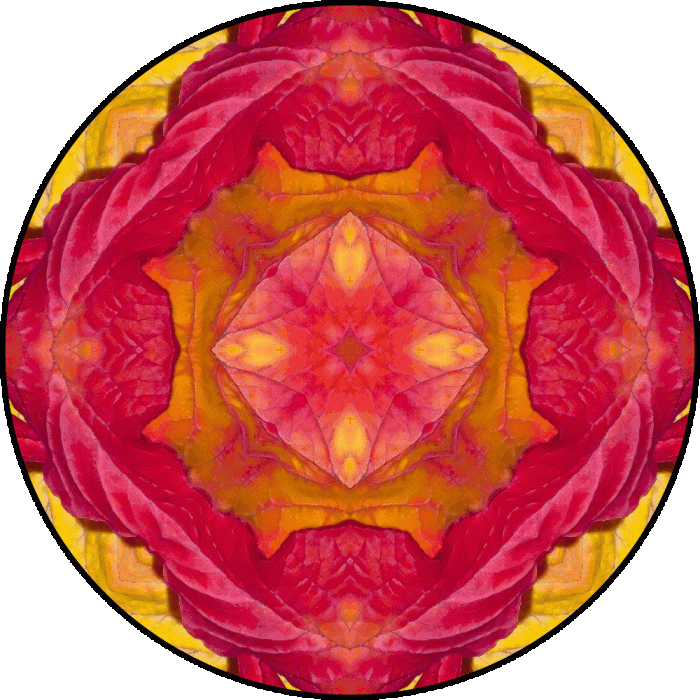 Daily Digital Mandala 810