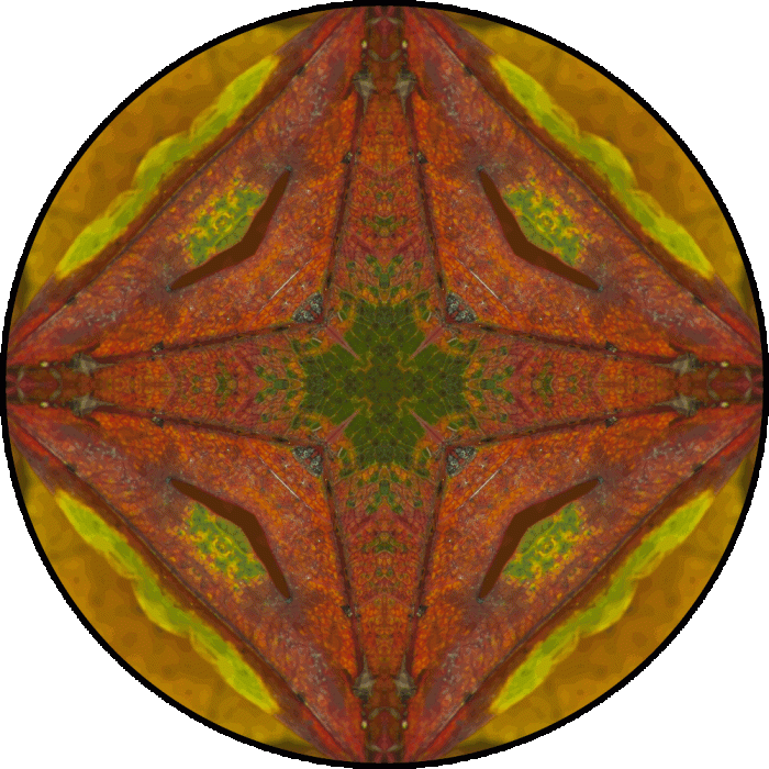 Daily Digital Mandala 747