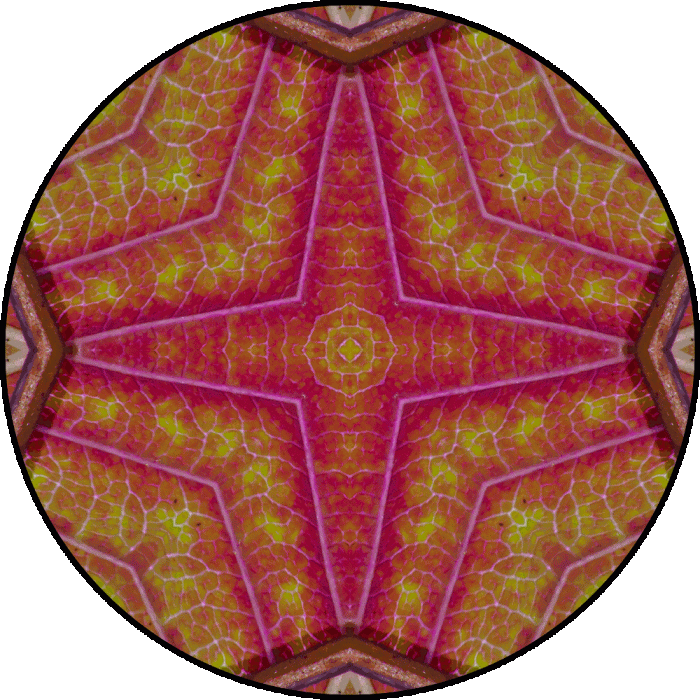 Daily Digital Mandala 759