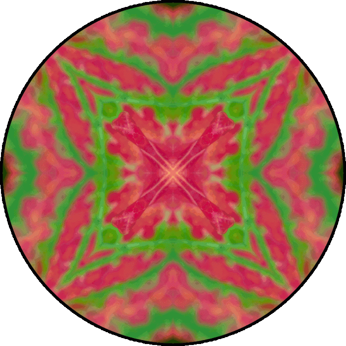 Daily Digital Mandala 760