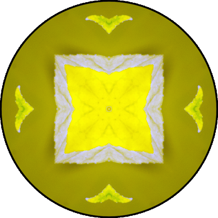 Daily Digital Mandala 761