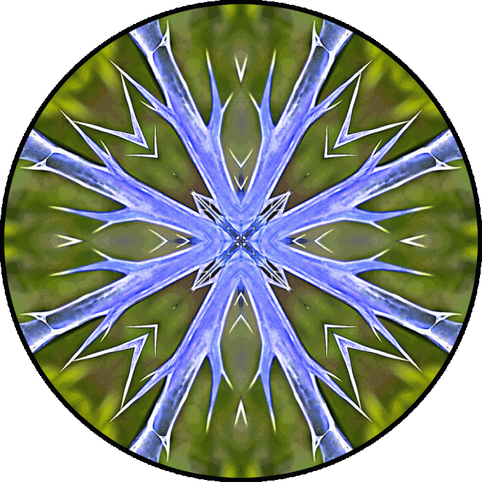 Daily Digital Mandala 749