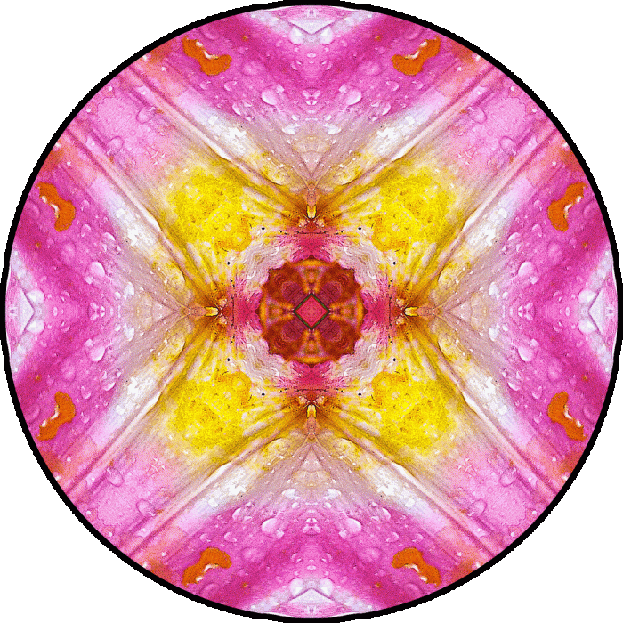 Daily Digital Mandala 753