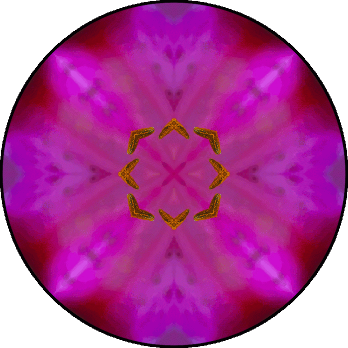 Daily Digital Mandala 819