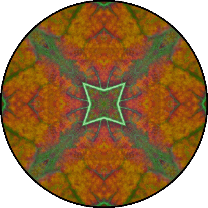Daily Digital Mandala 757