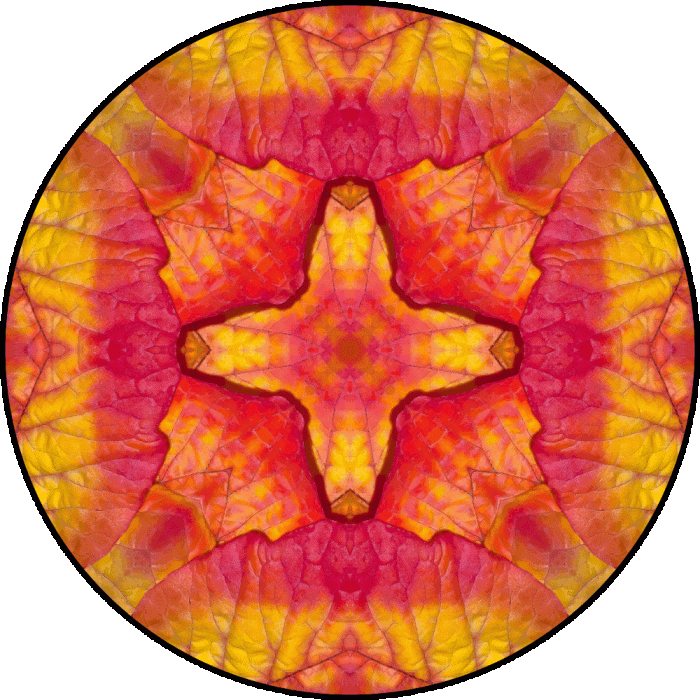 Daily Digital Mandala 826