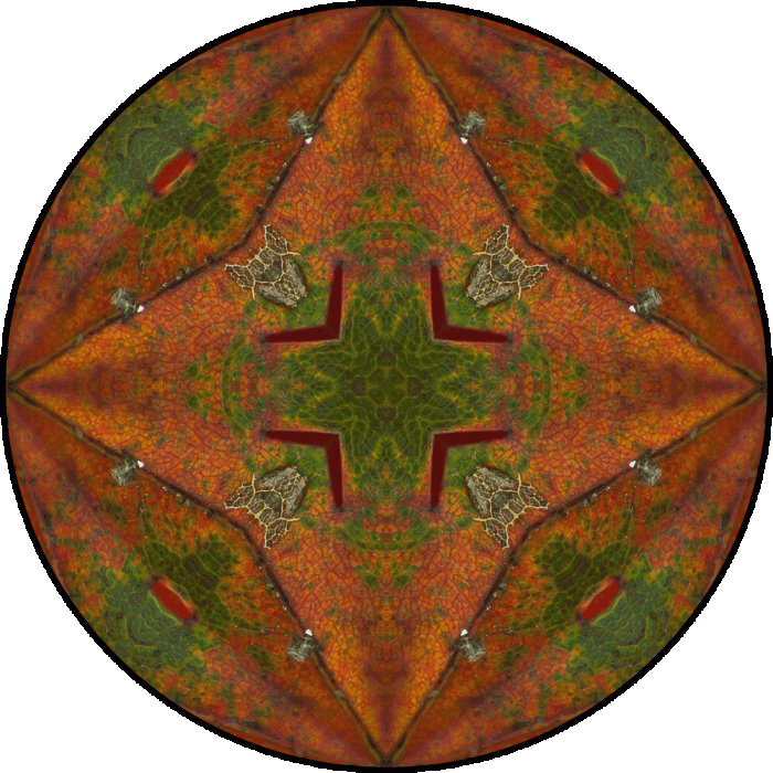 Daily Digital Mandala 763