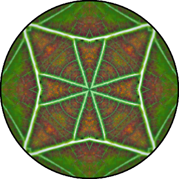 Daily Digital Mandala 774