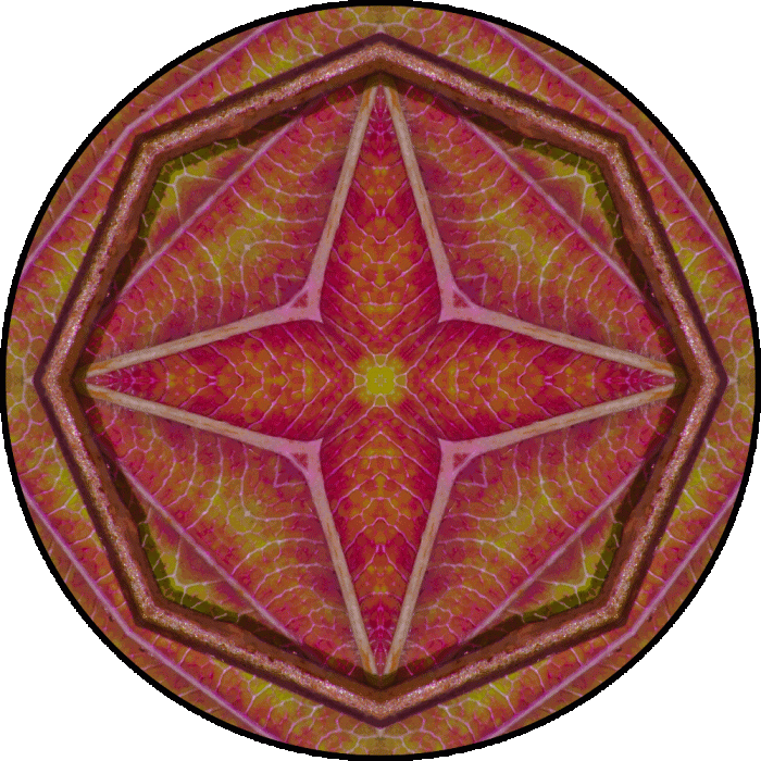 Daily Digital Mandala 775