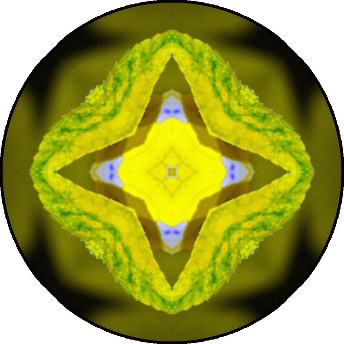 Daily Digital Mandala 777