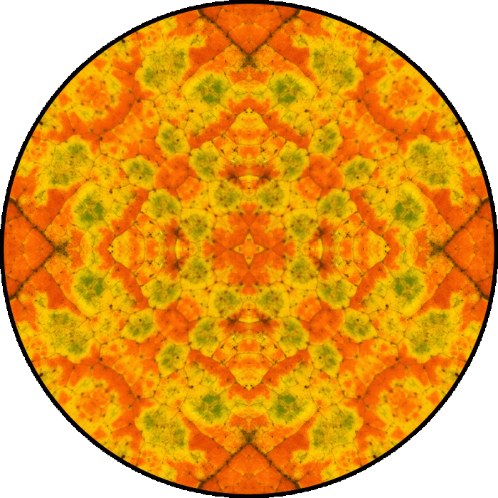 Daily Digital Mandala 764