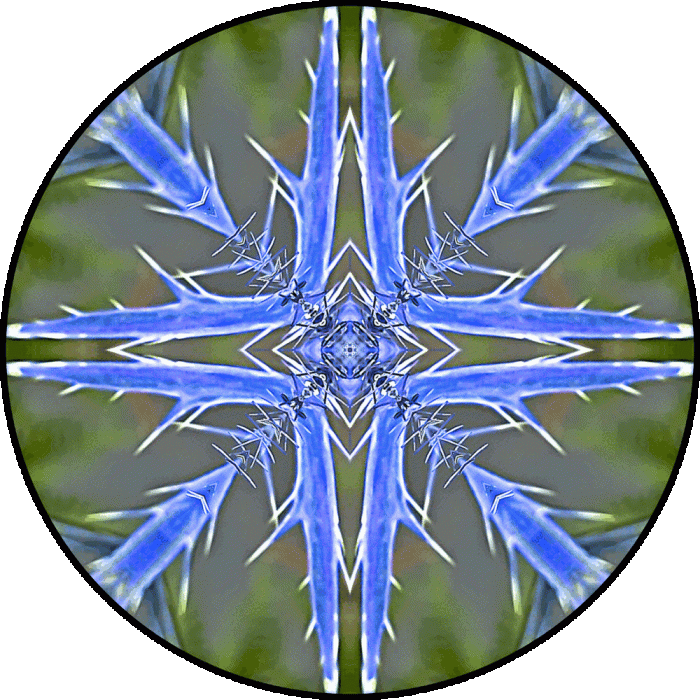 Daily Digital Mandala 765