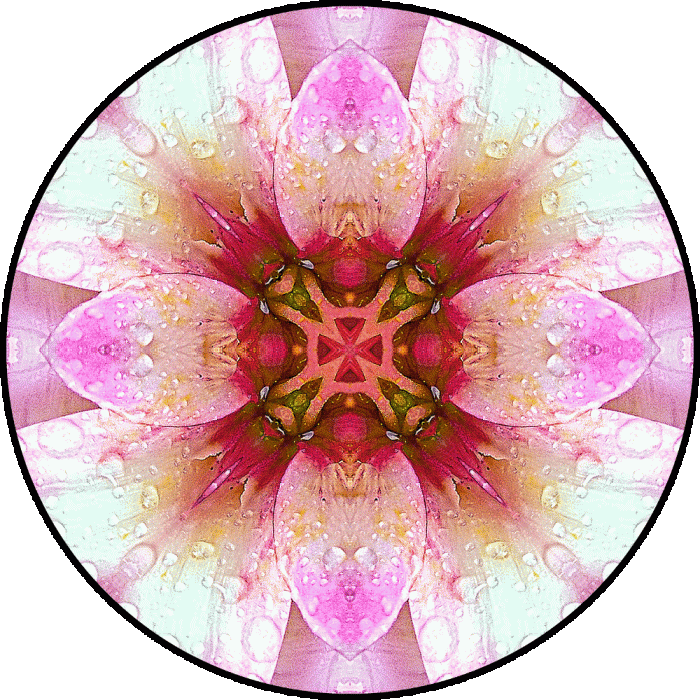 Daily Digital Mandala 769