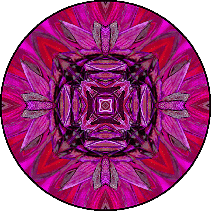 Daily Digital Mandala 834